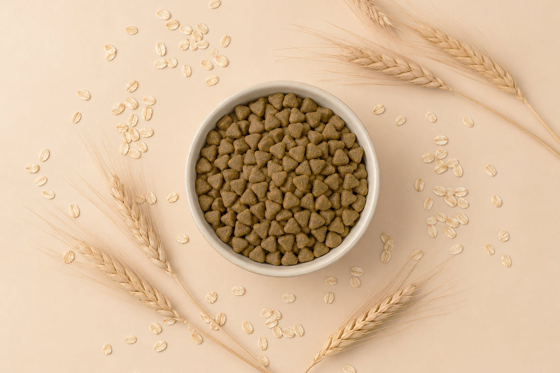 Sacco di crocchette per gatti senza cereali