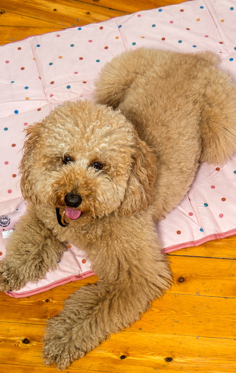 Travel bed