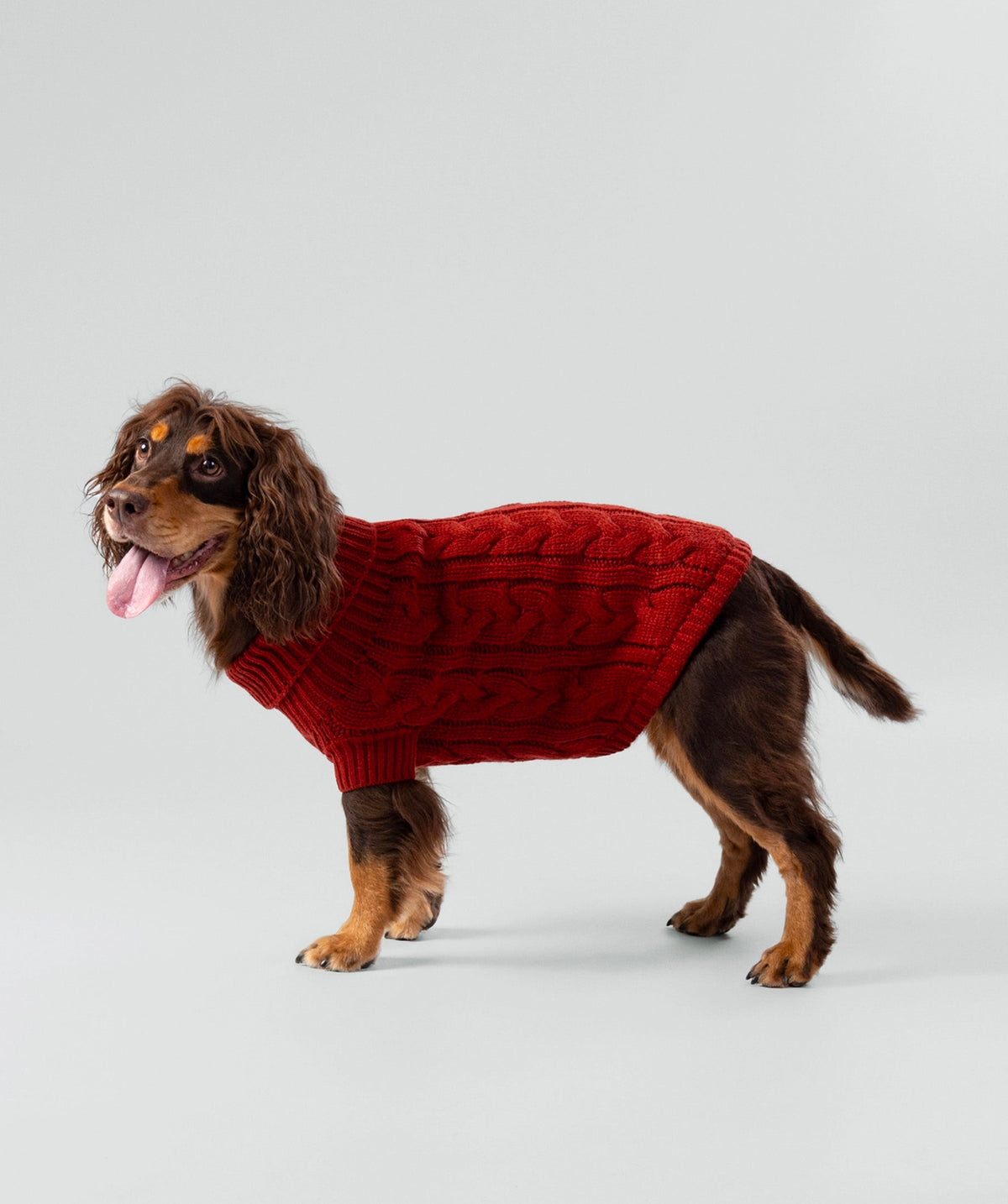 Cable knit sweater