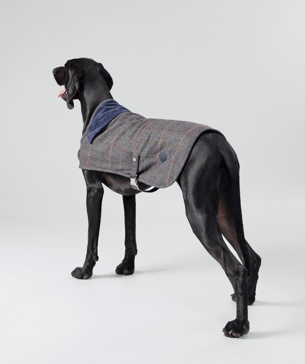 Chaqueta de tweed