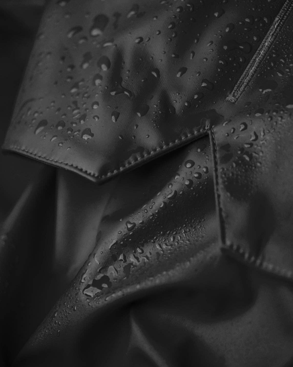 Black Dog Raincoat