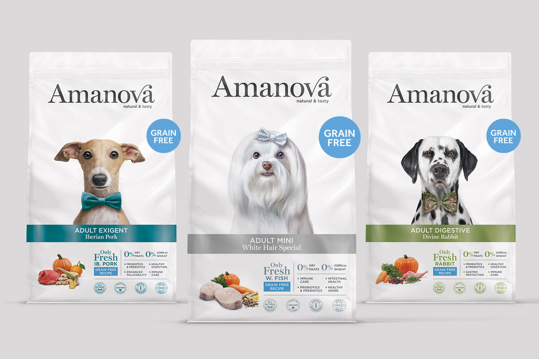 Crocchette digestive per cani con problemi intestinali