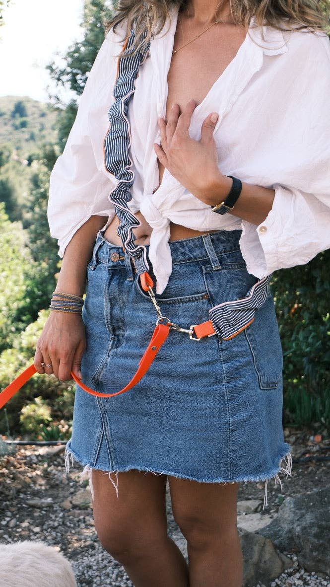 Blue striped leash - correa