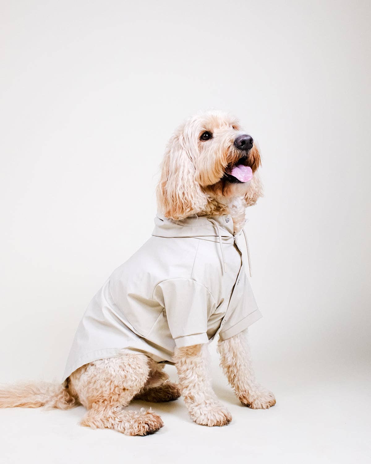 Stone Dog Raincoat - impermeável