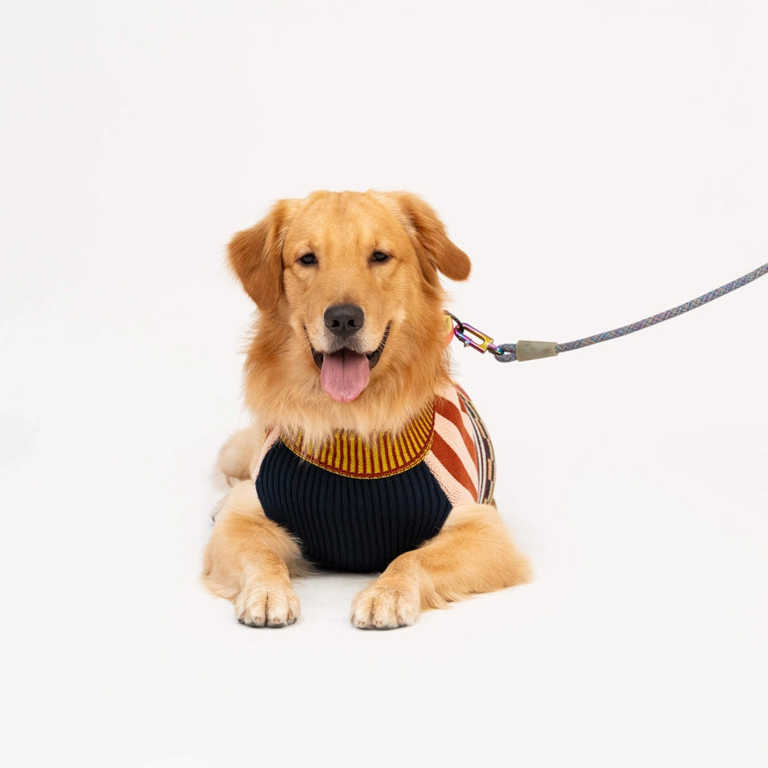 Pattern Patch Dog Sweater marron