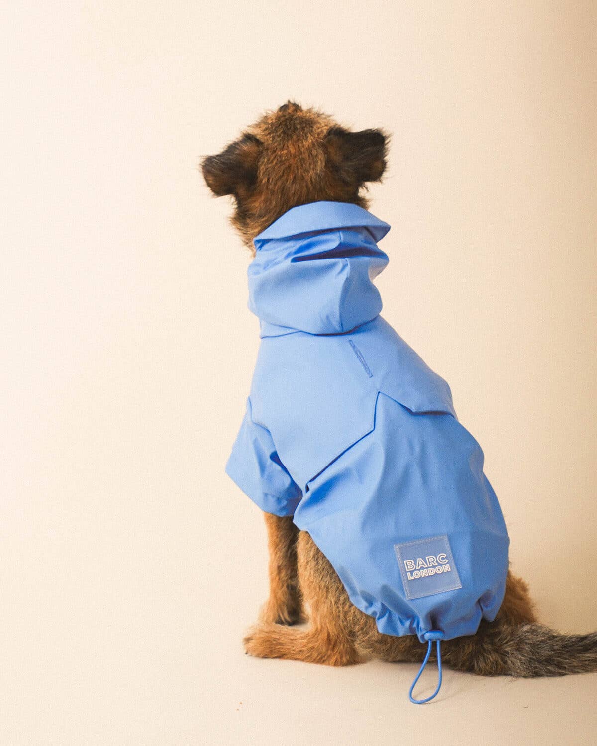 Blue Dog Raincoat - impermeável