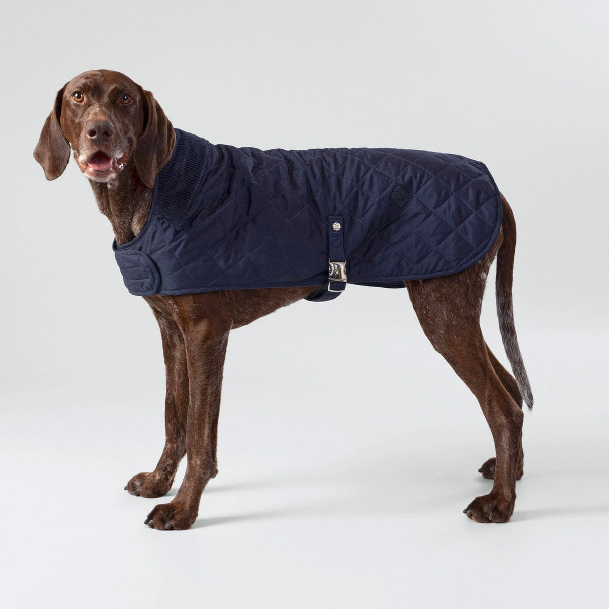 Chaqueta acolchada