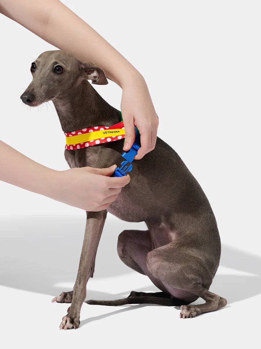 Chroma Pet Harness & Leash Set Red - arnés y correa