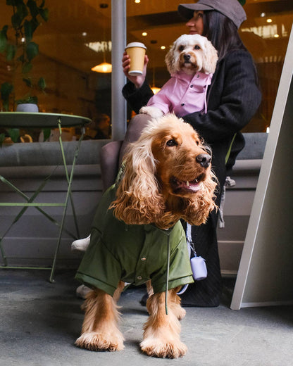 Green Dog Raincoat - imperméable