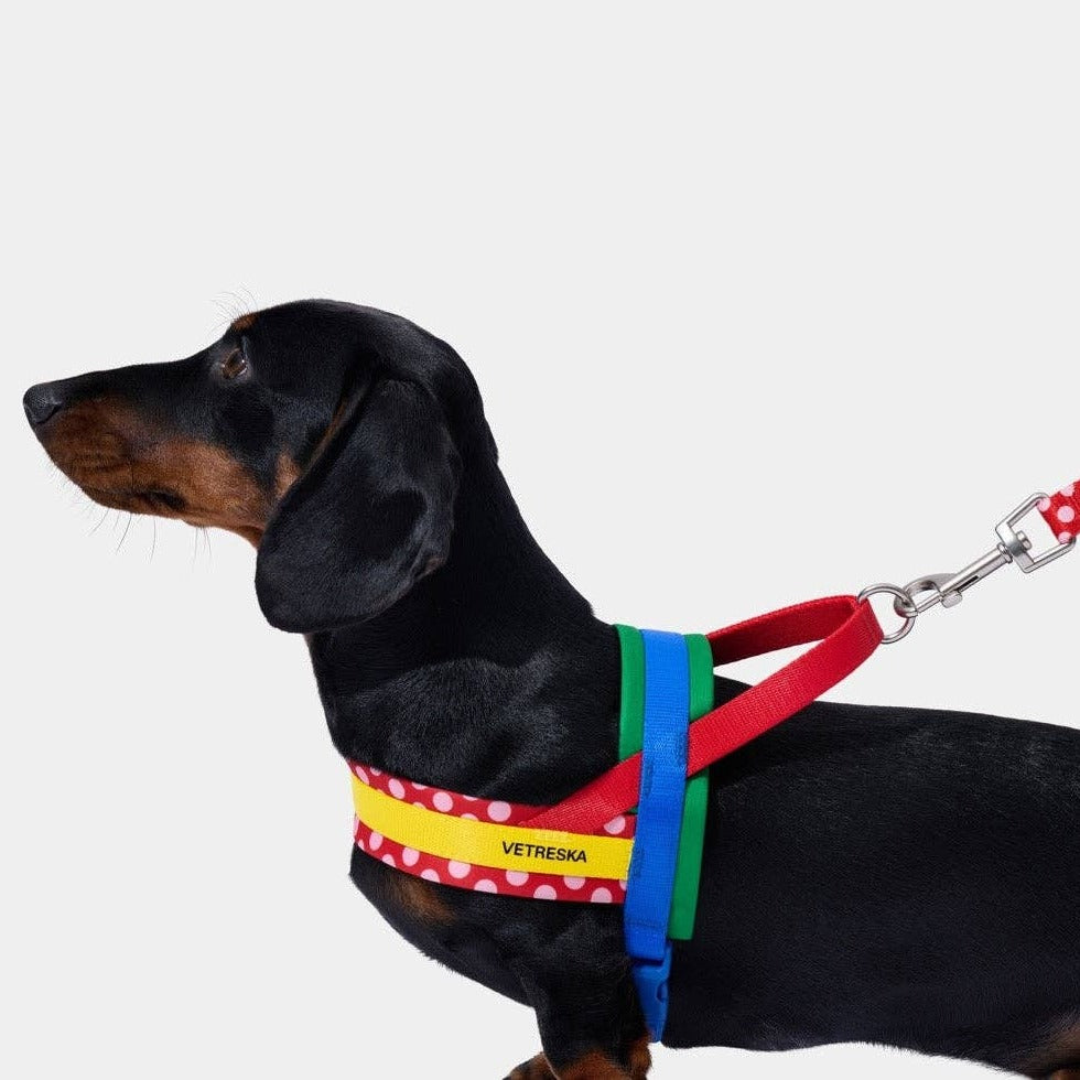 Chroma Pet Harness & Leash Set Red - arnés y correa