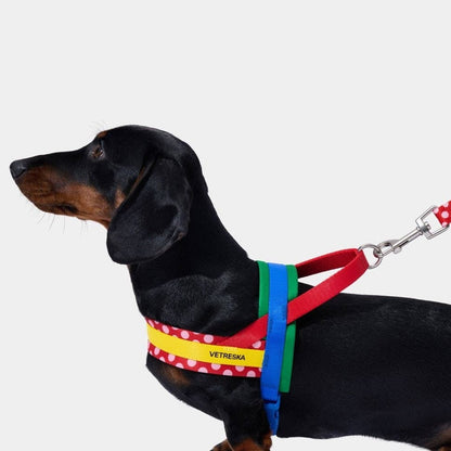 Chroma Pet Harness & Leash Set Red - arnés y correa