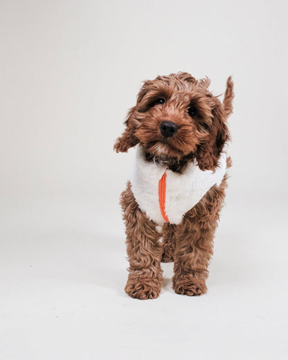 Cream Sherpa Fleece Dog Vest - Chaleco