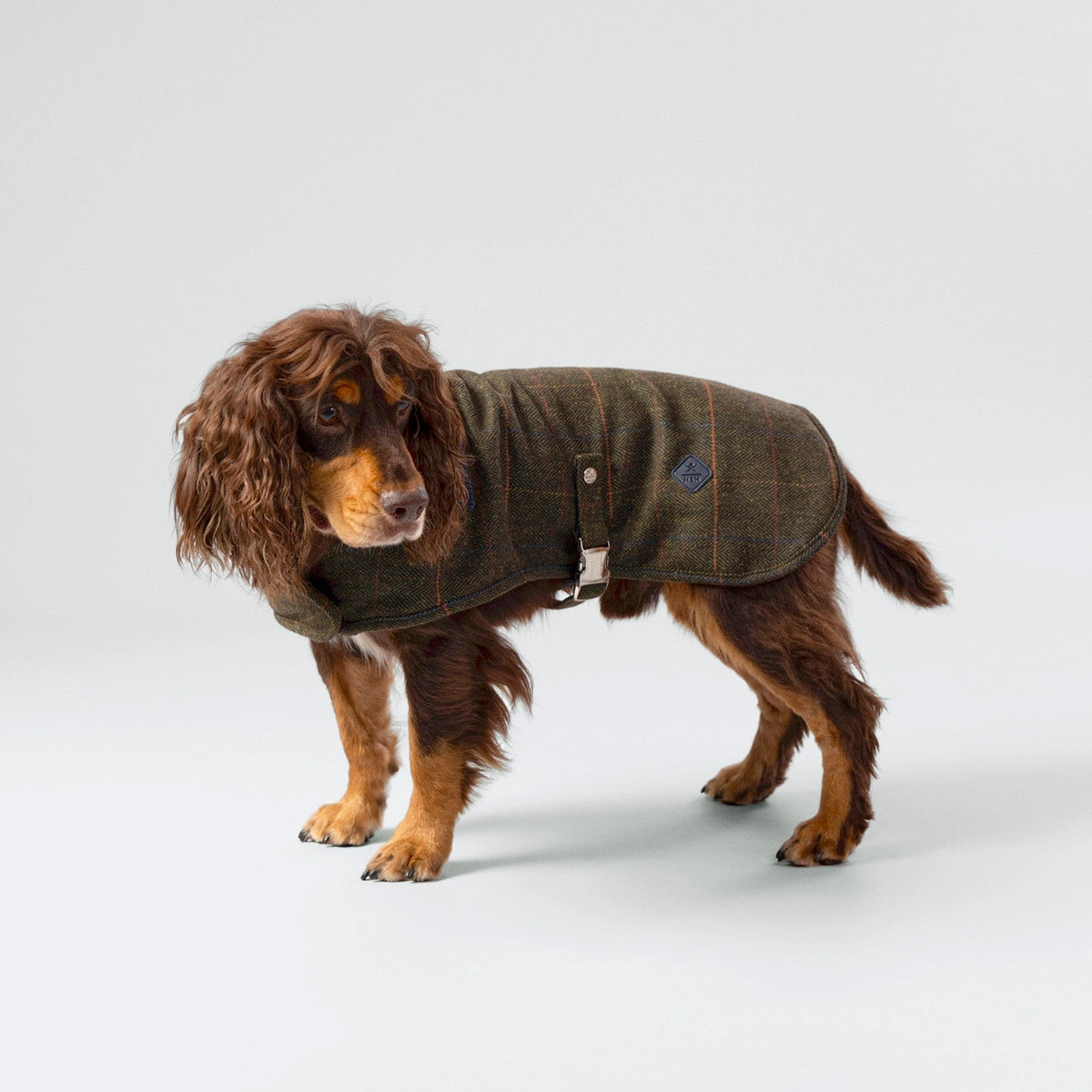 Chaqueta de tweed verde