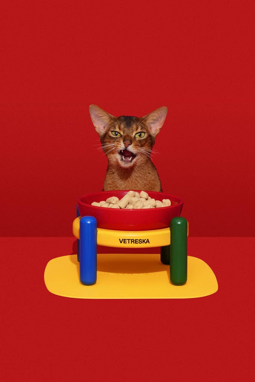 Chroma Ceramic Pet Bowl & Mat Set - comedouro