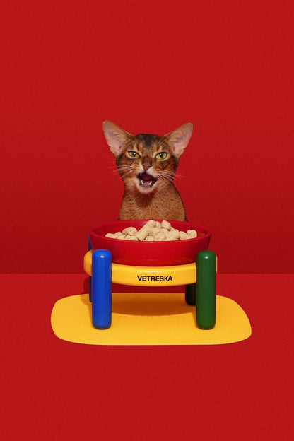 Chroma Ceramic Pet Bowl & Mat Set - comedouro