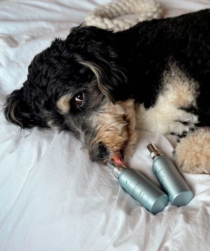 Car & Pillow spray