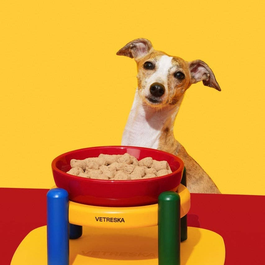 Chroma Ceramic Pet Bowl & Mat Set - comedouro