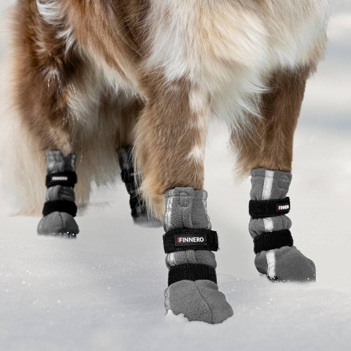 Booties For Dogs - 4pcs/pac