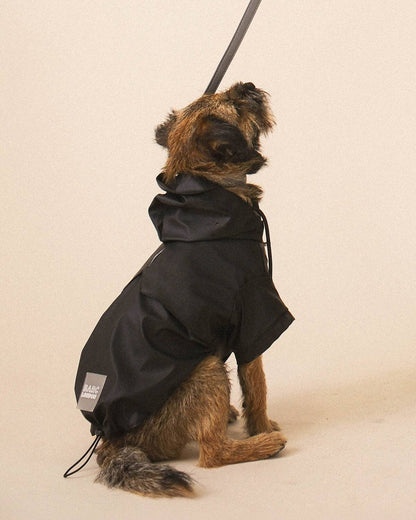 Black Dog Raincoat