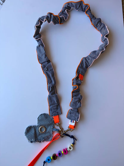 Blue striped leash - correa