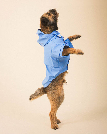 Blue Dog Raincoat - impermeável