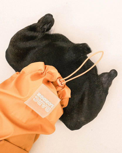 Orange Dog Raincoat - impermeável