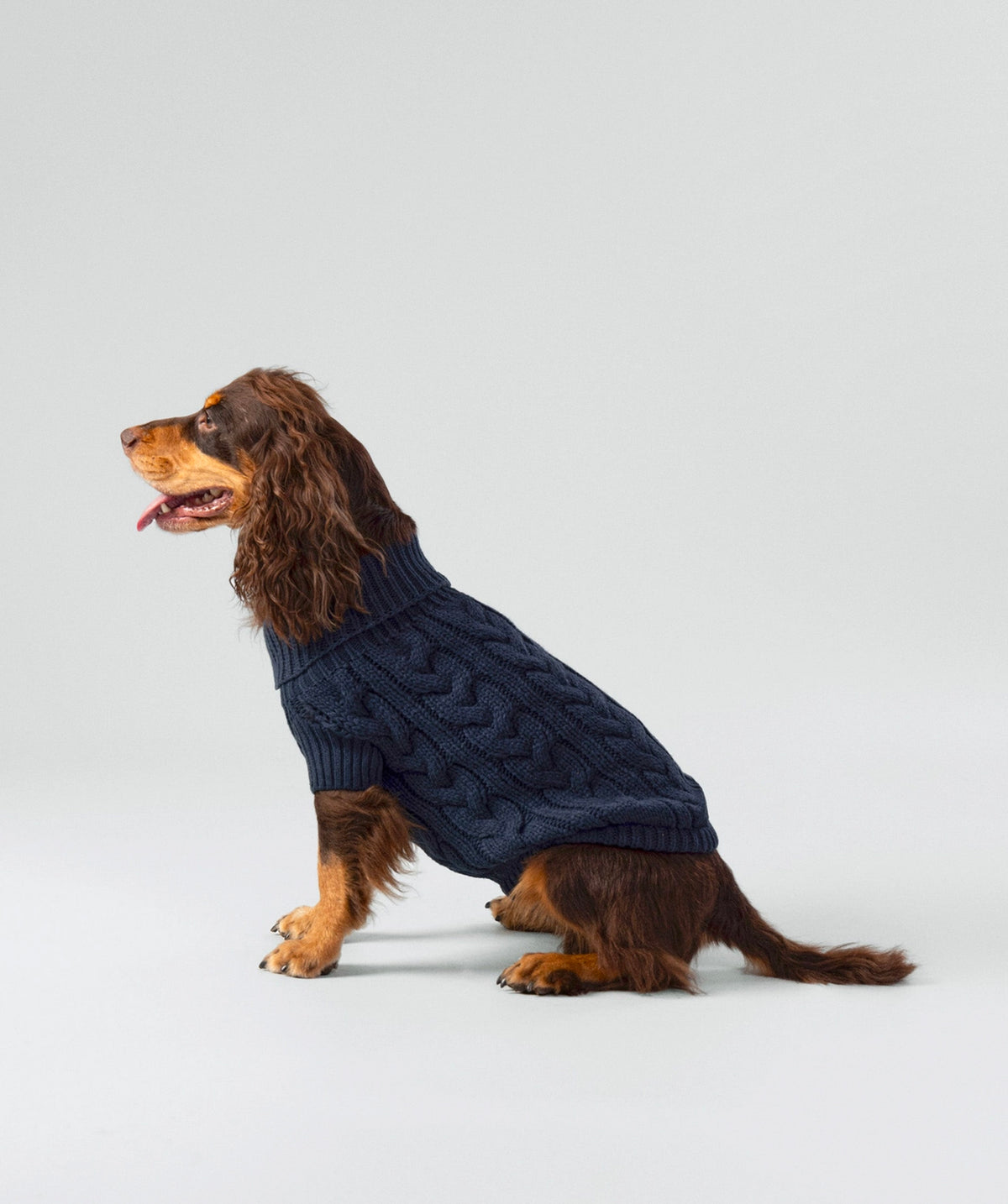 Cable knit sweater