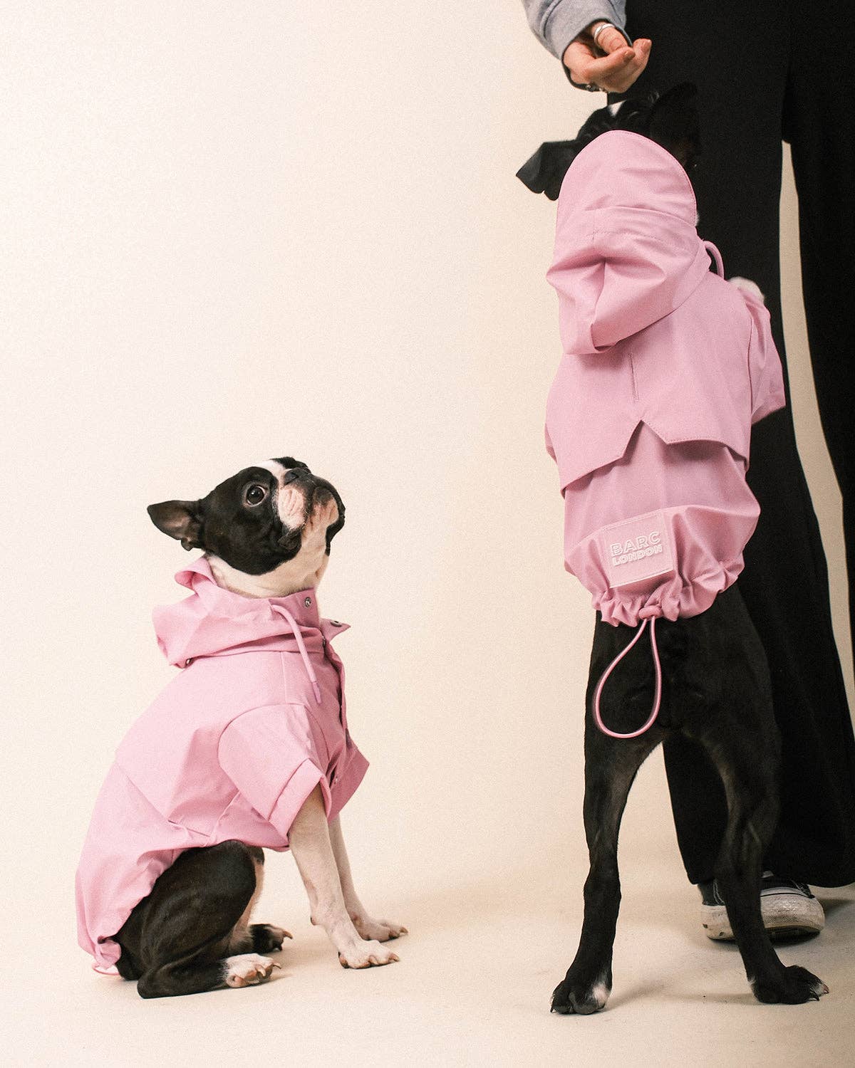 Pink Dog Raincoat - płaszcz przeciwdeszczowy