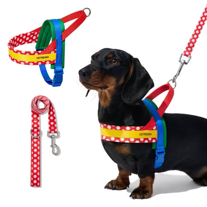 Chroma Pet Harness & Leash Set Red - arnés y correa