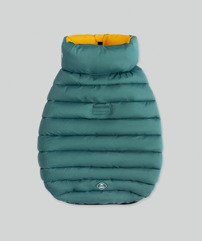 Hackett dog puffer