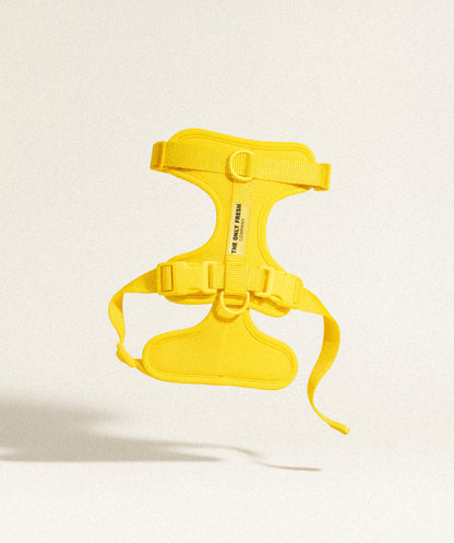 Gelbes gepolstertes Smart Harness Onlyfresh mit Schnellverschluss