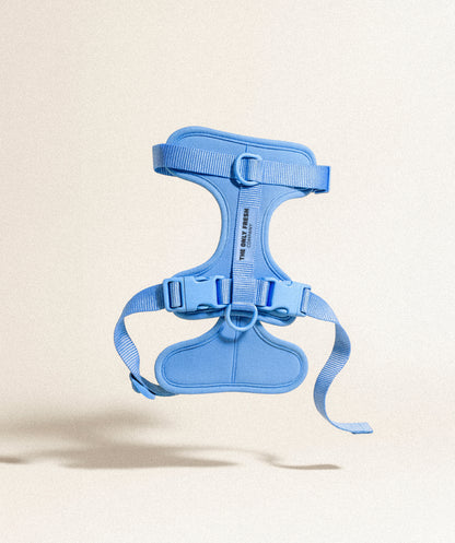 Blue padded Smart Harness Onlyfresh with quick closures