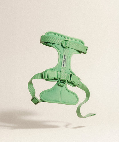 Green padded Smart Harness Onlyfresh with quick closures