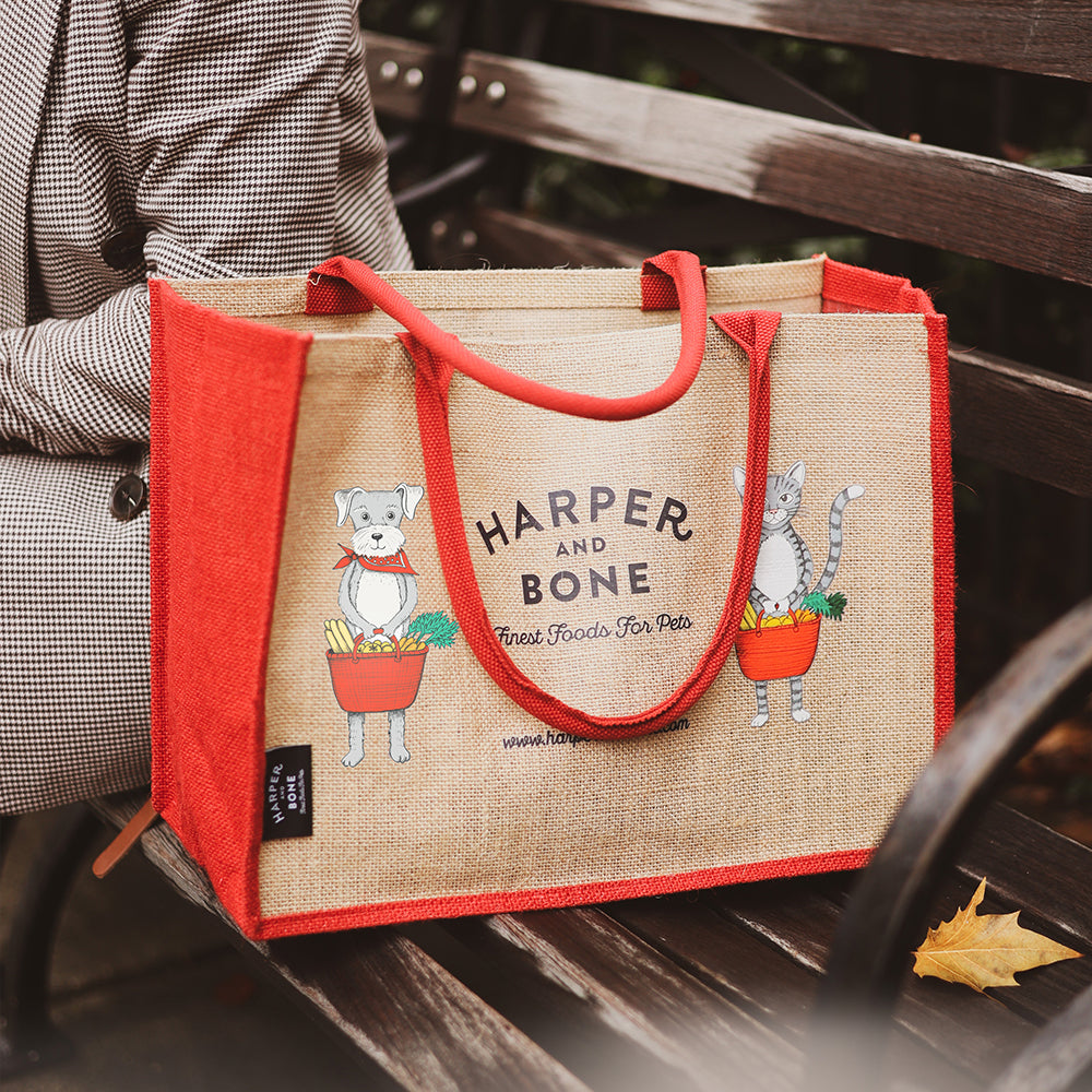Harper & Bone shopping bag