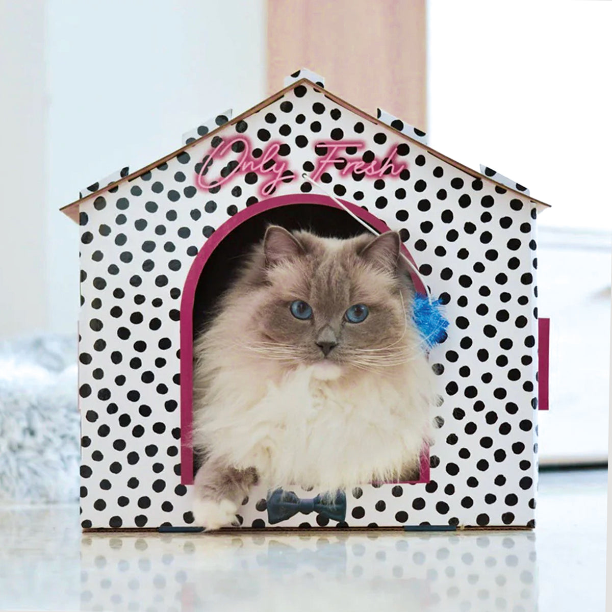 Cat house Amanova