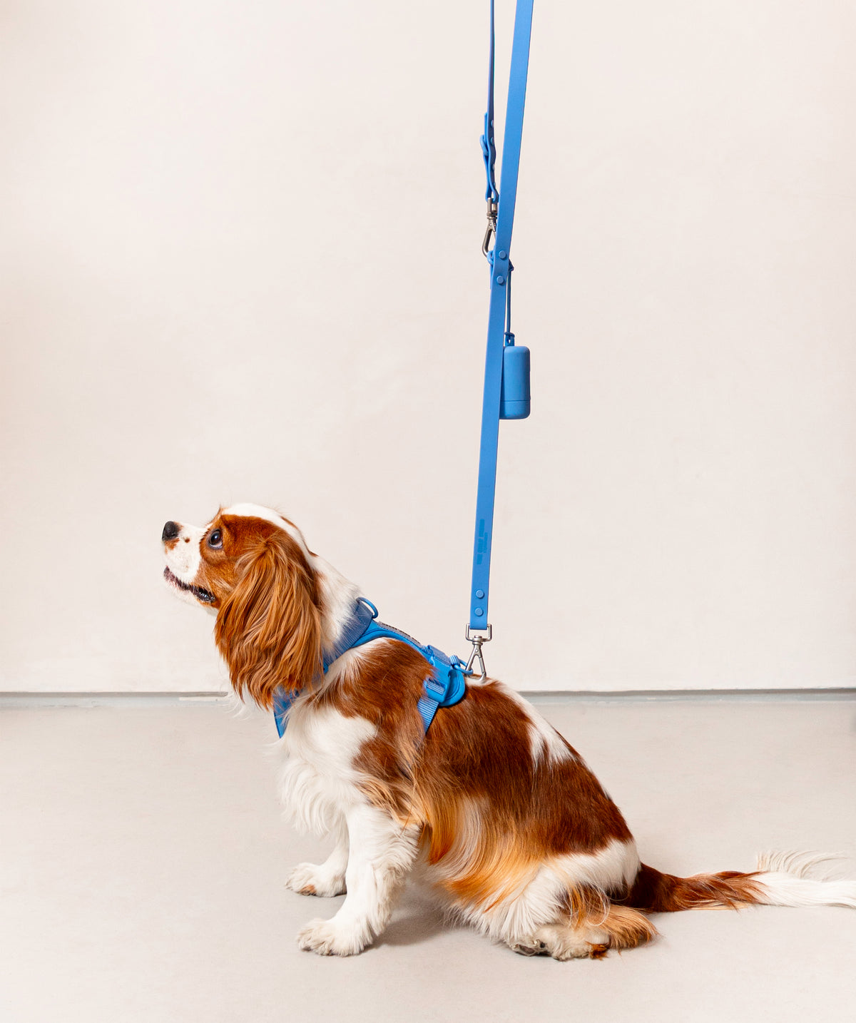Smart Dog Leash - Blu