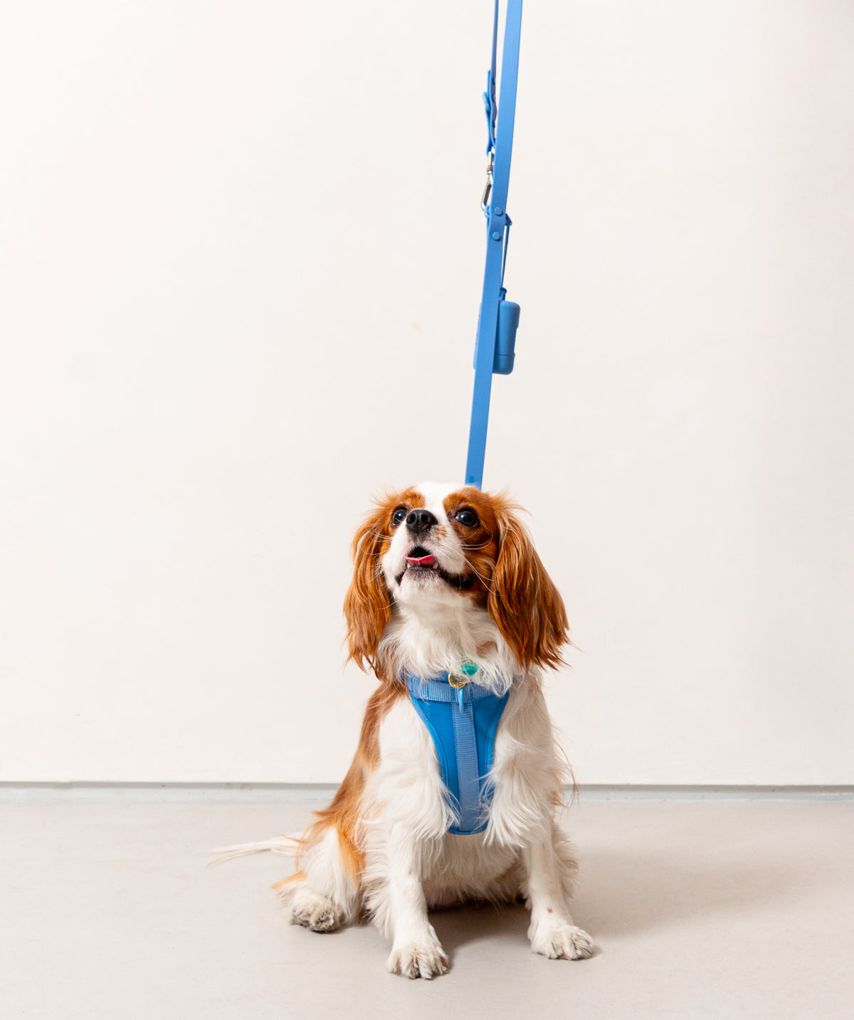 Smart Harness