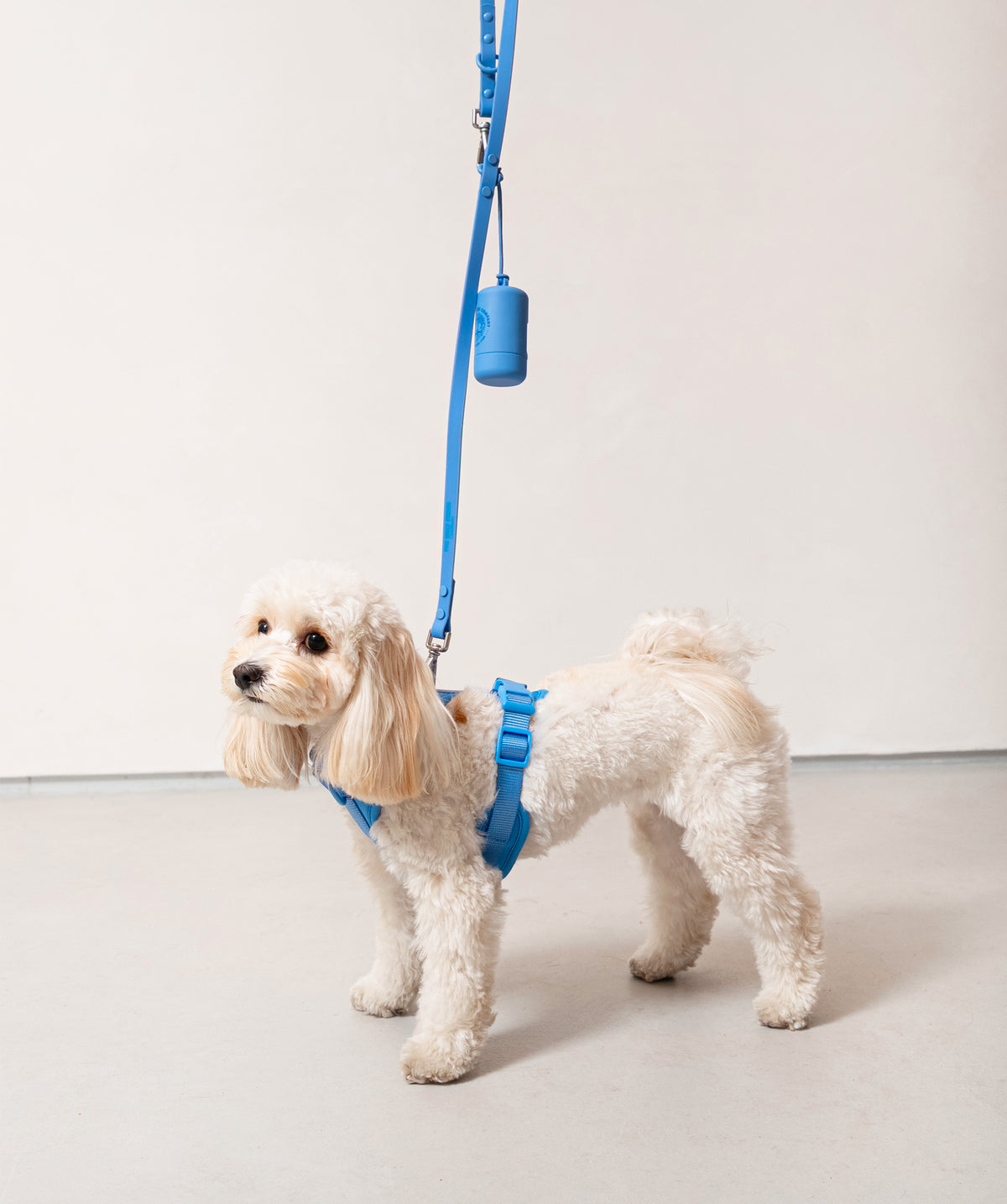 Smart Dog Leash - Blu