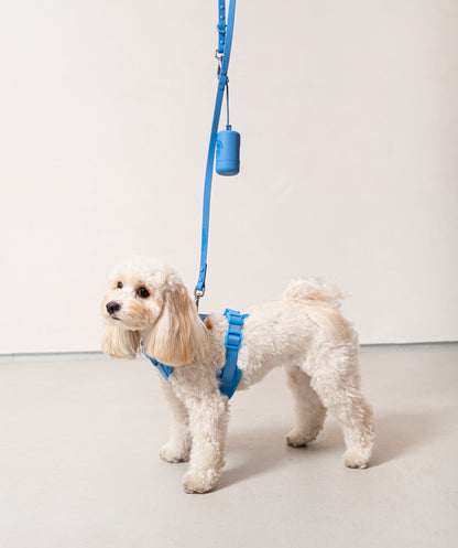 Smart Dog Leash - Blu