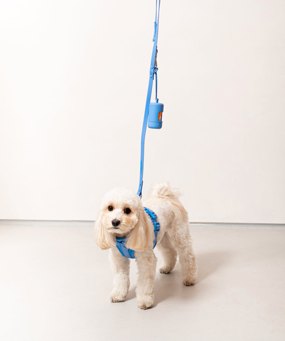 Smart Dog Leash - Blu