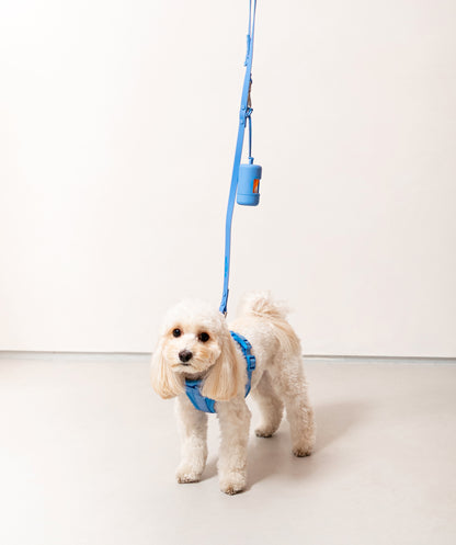 Smart Dog Leash - Blu