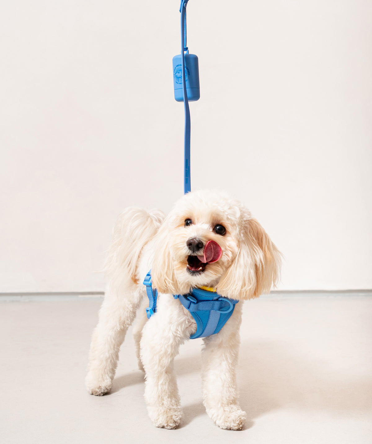 Smart Dog Leash - Blu