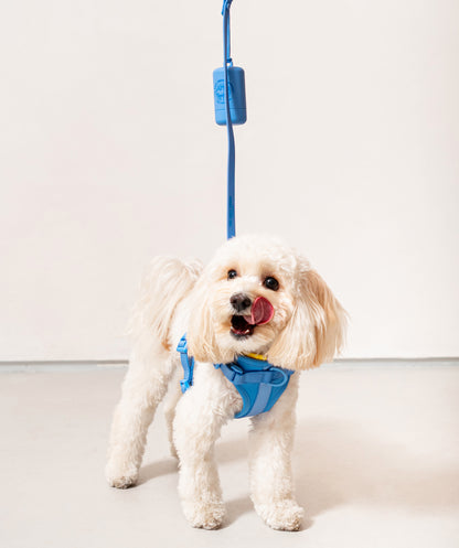 Smart Dog Leash - Blu