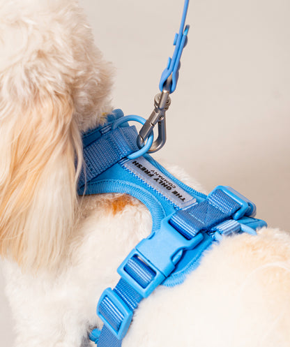 Smart Harness