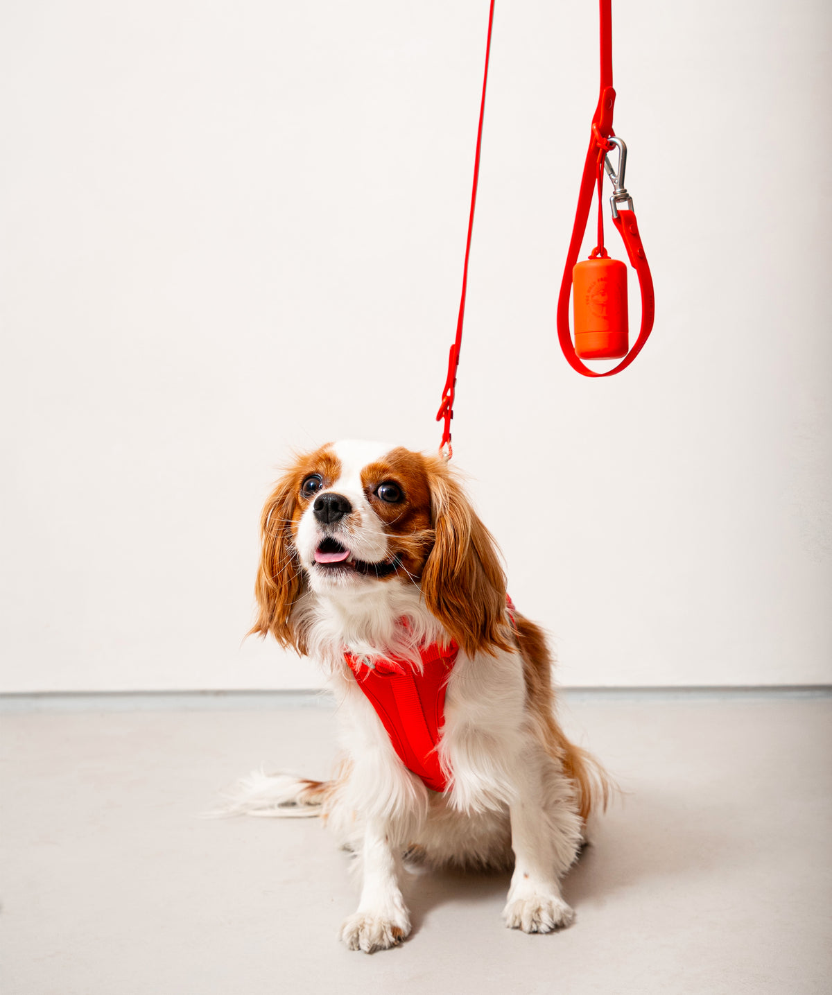 Smart Dog Leash - Rosso