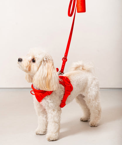 Smart Harness