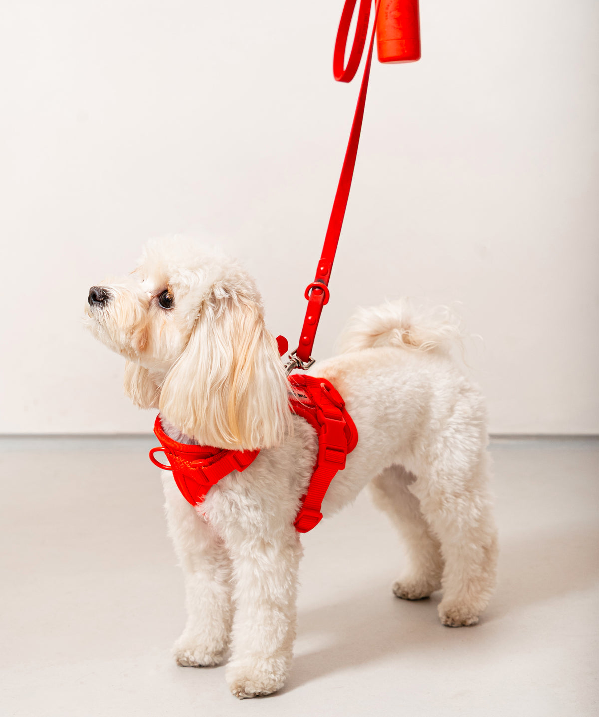 Smart Dog Leash - Rosso