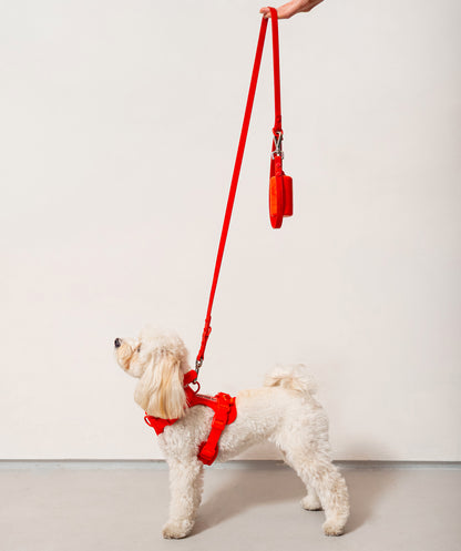 Smart Dog Leash - Rosso