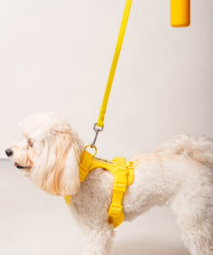 Smart Harness - Gelb