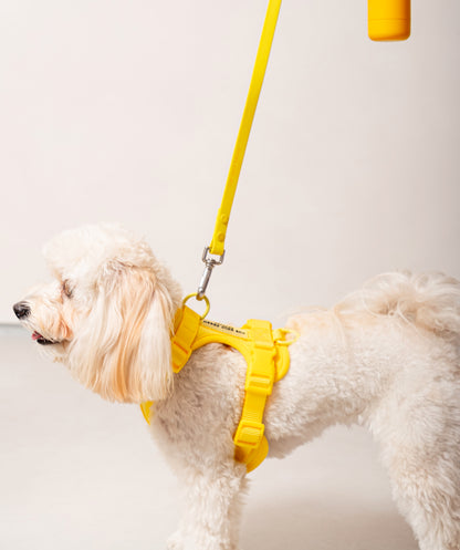 Smart Dog Leash - Geel
